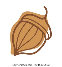 Acorn or Oaknut in Shell as Autumn and Fall Symbol Vector Illustration