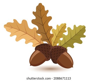 The acorn or oaknut, yellow leaves, vector illustration