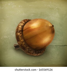 Acorn old style vector