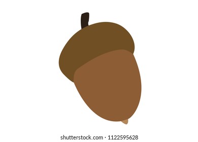Acorn on white background.