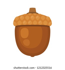 Acorn on white background, vector illustration
