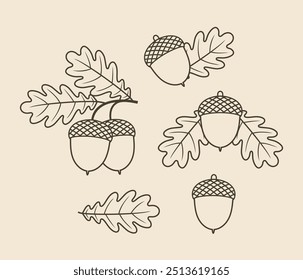 Acorn outline. Isolated acorn outline on white background