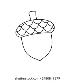 Acorn  in outline style isolated on white background vector illustration , black and white acorn clip art