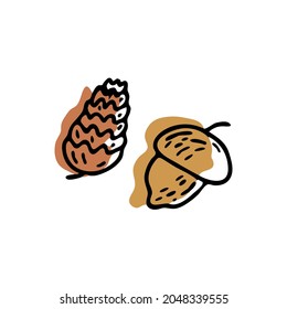 Acorn and pine cone. Outline with brown color shape behind. White background. Doodle vector isolated illustration. Autumn season. Oak and pine