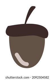 acorn seed nature woodland icon