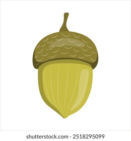 Acorn Seeds of the Mighty Oak Tree