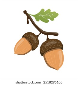 Acorn Seeds of the Mighty Oak Tree