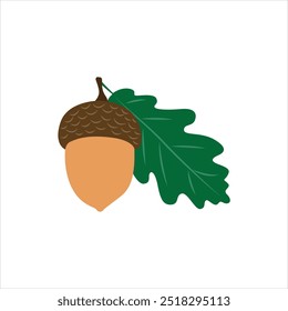 Acorn Seeds of the Mighty Oak Tree