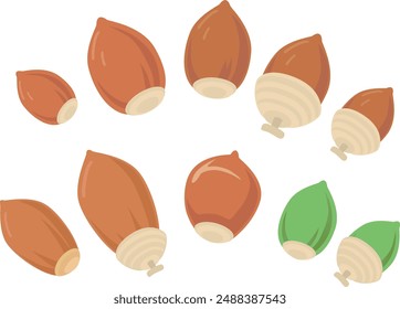 Acorn Set 2
A set of various kinds of acorns.
Flat version.