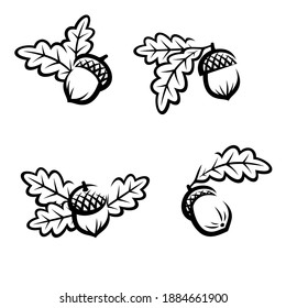 Acorn set. Collection of acorn icons. Vector