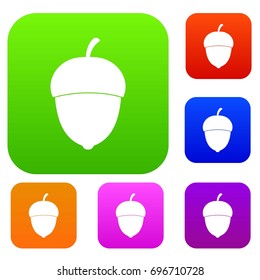 Acorn set icon in different colors isolated vector illustration. Premium collection