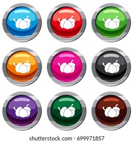 Acorn set icon isolated on white. 9 icon collection vector illustration