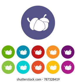Acorn set icons in different colors isolated on white background