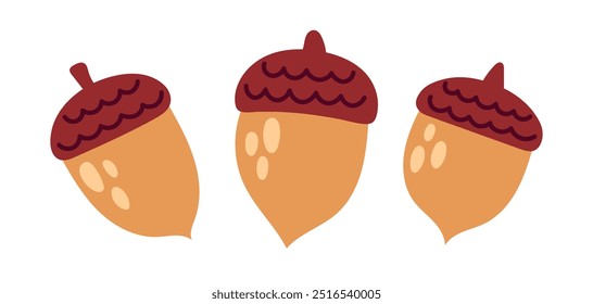 Acorn set. Oak nut, seed. Autumn cozy decoration elements. Flat Vector illustration isolated on white background