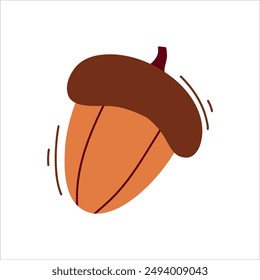 Acorn in the shell. Vector illustration of oak seeds.