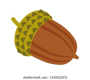Acorn - simple flat clip art