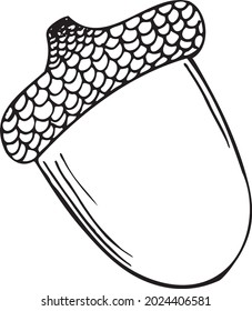 Acorn sketch illustration. Hand drawn acorn. Vector illustration, isolated on white background.