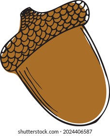 Acorn sketch illustration. Hand drawn acorn. Vector illustration, isolated on white background.