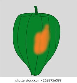 acorn squash cartoon illustration useful for projects lifestyle healthy nutrition vegetable whole raw