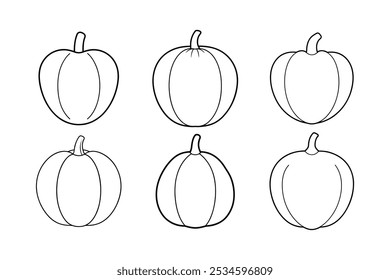 Acorn Squash (Cucurbita pepo) design, labeled line art vector illustration