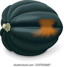 Calabaza de maíz o calabaza de oso de miel. Aplastamiento. Calabaza de invierno. Cucurbita pepo. Frutas y verduras. Ilustración vectorial aislada.