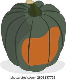 Acorn Squash pumpkin family vector.