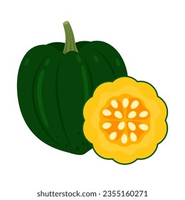 El maíz aplasta verduras enteras y rodajas aisladas en fondo blanco. Cucurbita pepo turbinata. Des Moines aplasta o icono de la squash de pimienta. Ilustración vectorial de verduras de estilo plano.