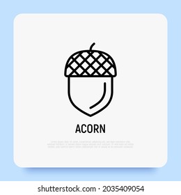 Acorn thin line icon. Modern vector illustration.