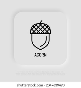 Acorn thin line icon. Modern vector illustration.