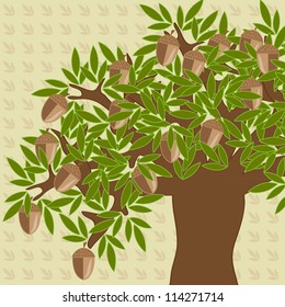 acorn tree