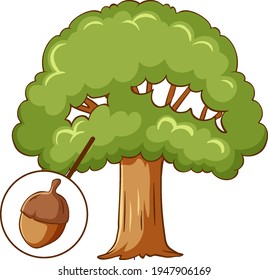 Acorn tree isolated on white background illustration