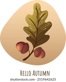 Acorn tree leaves and acorns