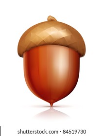 Acorn, vector