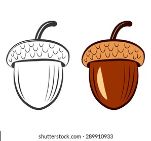 Acorn - Vector icon