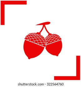 Acorn vector icon.