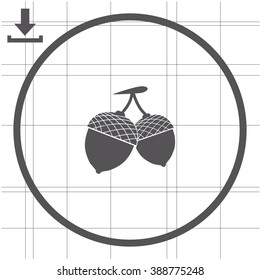 Acorn vector icon.
