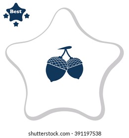 Acorn vector icon.
