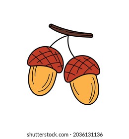 Acorn vector icon. Hand drawn print. Sticker design on white. Simple sketch design