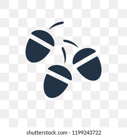 Acorn vector icon isolated on transparent background, Acorn transparency concept can be used web and mobile