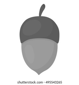 Acorn vector icon in monochrome style for web