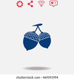 Acorn vector icon on grey background.