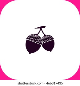 Acorn vector icon on white background.
