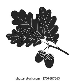 Acorn vector icon.Black vector icon isolated on white background acorn .