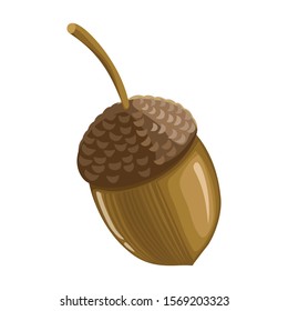 Acorn vector icon.Cartoon vector icon isolated on white background acorn .