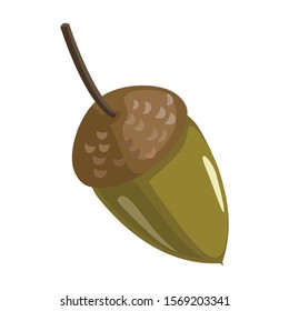 Acorn vector icon.Cartoon vector icon isolated on white background acorn .