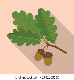 Acorn Vektorsymbol.Flat Vektorsymbol einzeln auf weißem Hintergrund Akkorn.