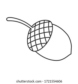 Acorn vector icon.outline vector icon isolated on white background acorn .