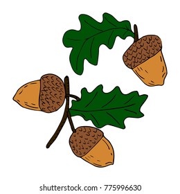 Acorn vector illustration. Doodle style. Design, print, decor, textile, paper