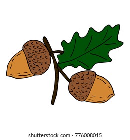 Acorn vector illustration. Doodle style. Design, print, decor, textile, paper