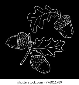 Acorn vector illustration. Doodle style. Design, print, decor, textile, paper